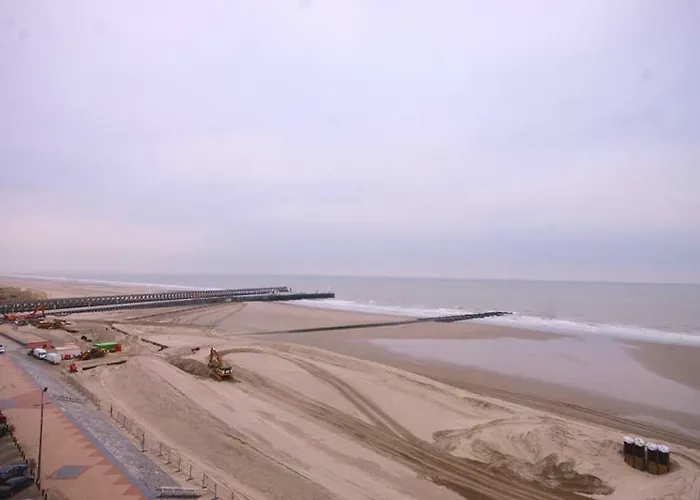 アパート Caraibes 8ste Verdieping ブランケンベルヘ